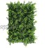 XUSHAN Haie Artificielle Plante Verte Panneaux de Verdure Mur Végétal Décoration Jardin Clôture Cour Plafond Restaurant Mur d'ombrage,soulage la copiopie Augmenter l'atmosphère 60X40 CM A 2PC