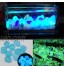 100 pierres galets décoratifs lumineux qui brillent dans le noir pour décoration d'aquarium jardin