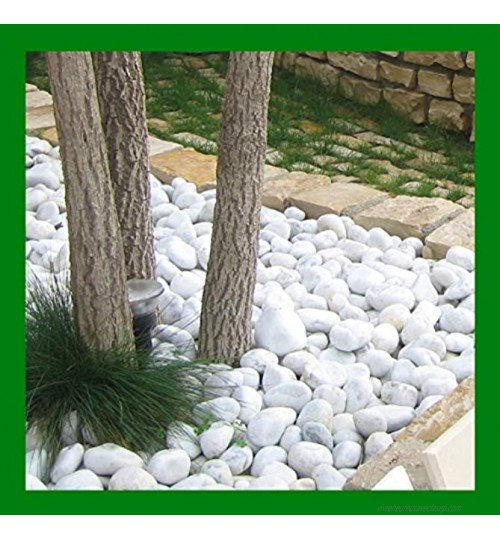 Decomadeinitaly Bol blanc Carrara en sac de 25 kg diamètre 15 25 mm pierre blanche pour jardin