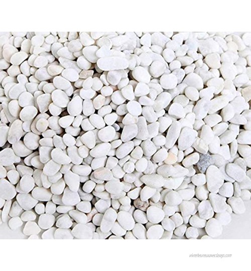 Ksnnrsng Gravier Décoratif Blanc de Pierres Décoratives pour Vases Cailloux Décoratifs Environ Gravier Blanc pour Pots de Fleurs Plantes Jardinières Bols Aquarium Décors Blanc 1 kg