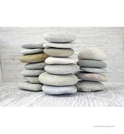 Lot de 10 pierres ZenStones 1 kg Pierres de mer Pierres décoratives Galets Mandala Pierres de coquillage Pierre de plage Art de plage
