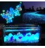 Oubest Brillent dans Le Noir Galets Glow Pierres Glowing Rocks Bleu Décor pour Jardin Aquarium Aquarium Passerelle Allée Pots de Fleurs bonsaï Bleu