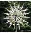 Xbtianxia Moulin à vent unique et magique en métal attrape-vent solaire sculptures en plein air grand moulin à vent pour cour pelouse patio jardin sculptures cinétiques argent