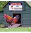 GORGECRAFT Chicken Warning Sign Avertissement de Poulets Funny Chicken Coop Sign Tin Metal Hanging Wall Poster pour la Décoration de Jardin en Plein Air 12x8 Pouce