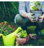 50 Pièces Étiquettes Plantes Étiquette Jardin Solide en Bois Étiquettes de Plantes Exterieur Écologiques Jardin Etiquettes Signes pour Fleur Légumes Graine Jardin Pépinière Cœur