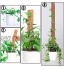 HH-LIFE 2 pièces perches totem en fibre de coco avec 10 attaches torsadées support pour plantes grimpantes en fibre de coco Piquets en fibre de coco pour plantes grimpantes 43cm
