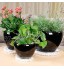 JonesHouseDeco Lot de 36 soucoupes transparentes en plastique PVC pour pot de fleurs 15,2 cm 20,3 cm 25,4 cm Pour plantes d'intérieur et d'extérieur