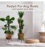 Lewondr Support pour Plantes en Pot [Lot de 3] Porte-Pots de Fleurs en Fer pour l'intérieur Résistant à la Rouille 9 Pouces Support de Jardin Durable en Métal Blanc & Noir & Chocolat