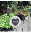 Lot de 3 plaques de plantes en ardoise | Étiquetage individuel des plantes et herbes coeur+rond+rectangle