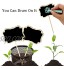 Mini Étiquettes Planter Etiquette Jardinage en Bois 20 pcs Signe des Étiquettes en Bois Étiquettes de Plantes à Graines Étiquettes de Jardin Imperméable pour Marquer les Plantes en Pot de Pépinière