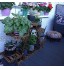 unho Petit Porte Plante Bois Étagère Plantes avec 6 Tablettes Étagère à Fleurs Décorative pour Jardin Terrasse Balcon Maison 92x58x25.4cm