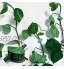 YHNJI Lot de 50 clips de fixation murale pour plantes grimpantes crochets auto-adhésifs en forme de feuille pour plantes grimpantes