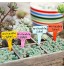 ZoneYan 100 Pièces Étiquettes de Jardin Imperméable Étiquettes de Plantes en Plastique Étiquettes Jardin Extérieur Couleur Aléatoire pour Plantes Succulentes Plantes en Pot Et Légumes