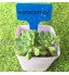 ZoneYan 100 Pièces Étiquettes de Jardin Imperméable Étiquettes de Plantes en Plastique Étiquettes Jardin Extérieur Couleur Aléatoire pour Plantes Succulentes Plantes en Pot Et Légumes
