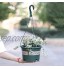 æ— Lot de 3 pots de fleurs en plastique à suspendre avec chaîne et base amovible pour décoration intérieure ou extérieure