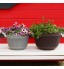 Atlnso Pot de fleurs à suspendre en plastique avec crochets Pour jardin balcon patio extérieur 25 x 16,5 cm
