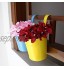 Fablcrew Pots de fleurs en métal à suspendre pots de fleurs à suspendre pot de fleurs pot de balcon décoration de balcon Fer blanc 10*10*15.5CM