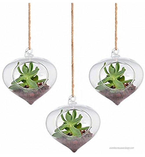 Lot de 3 pots de fleurs en verre à suspendre en forme d'oignon avec grande ouverture pour plantes aériennes 8 cm