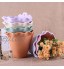 RYUNQ Lot de 6 pots de fleurs à suspendre en plastique avec crochets