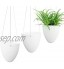 Sungmor Garden Arrosage automatique Pot de fleurs à suspendre | Lot de 3 PC blanc | Pot de fleurs porte plantes succulentes | Pots à œufs uniques | Décor intérieur ou extérieur
