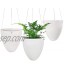 Sungmor Garden Arrosage automatique Pot de fleurs à suspendre | Lot de 3 PC blanc | Pot de fleurs porte plantes succulentes | Pots à œufs uniques | Décor intérieur ou extérieur