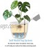 18cm Auto Irrigation Pot de Plante Blanc en Plastique Pot de Fleurs Intérieur Cache Pot Jardinières pour Succulent Aloès Herbe Lot de 6