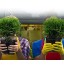 50 Pièces Pots Ronds Pots de Fleurs Arbustes Plantes Solides en Plastique Pot de Pépinière de Semis de Plantes Réutilisable pour Jardin 3 Tailles Noir