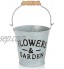 com-four® 2X Pot de Fleur en métal Pot de Fleur Miniature en métal Pot de Fleur Vintage Pot d'herbe à Suspendre Mini Seau 2 pièces