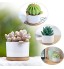 Fippy Lot de 6 mini pots de fleurs blancs en céramique de 8,1 cm avec plateau en bambou et coussinet en maille Parfaits pour la décoration de la maison ou du bureau
