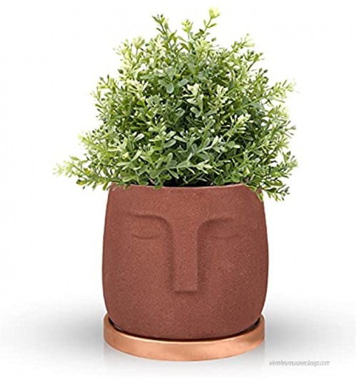 FORMIZON Pots Succulents Pot de Fleur en Céramique avec Plateau Céramique Succulent Pots pour Salon Mariage Cuisine ou Bureau et Décor à la Maison Marron