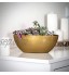 KADAX Pot de fleurs ovale pot de fleurs en plastique pot de fleurs décoratif pot de fleurs pour intérieur fleurs plantes balcon pot de fleurs forme moderne 21 x 12 cm doré