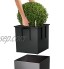 Lechuza – Pot de Fleurs d'Interieur – Premium Cube – Réserve d'Eau Intégrée – Coloris Anthracite – 30 x 30 x 30 cm