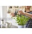 Mepal large pot à plantes aromatiques Noir toujours des herbes fraîches dans la cuisine convient également aux autres plantes passe au lave-vaisselle