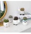 Pots de fleurs en céramique pour plantes succulentes Ensemble animal mignon en forme de chat vache éléphant renard hibou décoration d'intérieur
