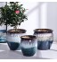 Pots de Fleurs Pot en céramique de fleur de fleur de fleur de jardin extérieur salle de séjour intérieur rétro gradient couleur fleur contient 2 tailles à choisir Pots de Plantes  Size : C