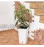 Prosper Plast Drts265-s449 26.5 x 26.5 x 50 cm "Rato" carré Pot de fleurs – Blanc