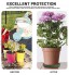 Sucpur Lot de 6 soucoupes rondes en plastique pour pot de fleurs 30 cm Pour jardinage intérieur et extérieur Durables et robustes