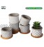 T4U 6CM Pot de Fleur Succulent Pots de Plantes avec Plateau Bambou Lot de 6 Mini Moderne Concrete Cactus Jardinières de Fleurs Décoration de Maison Jardin Bureau Cadeau