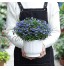 T4U 6pcs Bac à Fleurs Auto-Irrigation Plastique Rond Blanc Pot avec Réserve d'eau Pot avec Système d'Arrosage pour Planter Les Plantes Fleur Facilement Décoration pour Jardin Maison