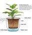 T4U 6pcs Bac à Fleurs Auto-Irrigation Plastique Rond Blanc Pot avec Réserve d'eau Pot avec Système d'Arrosage pour Planter Les Plantes Fleur Facilement Décoration pour Jardin Maison