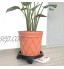YIREAUD Support pour palette de plantes avec roulettes support pour pot de fleurs soucoupe plateau pour pot de fleurs dessous de verre